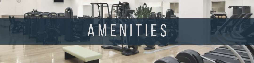 San Antonio Residence Amenities